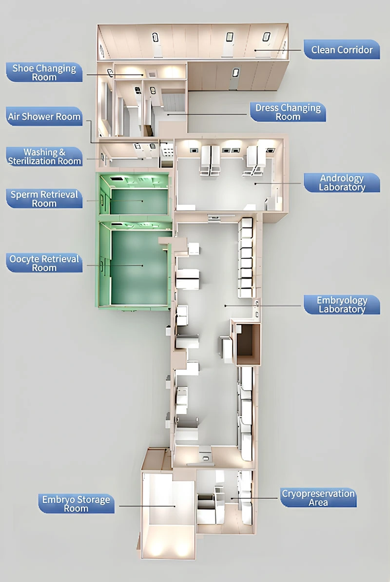 IVF Laboratories Functional Zones